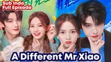 A Different Mr Xiao - Chinese Drama Sub Indo || Percintaan Dokter & Blogger
