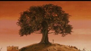 Tích lũy thẩm mỹ | Bộ phim thẩm mỹ màu sắc "Fantastic Mr. Fox" tông màu cam của Wes Anderson Giải Qu