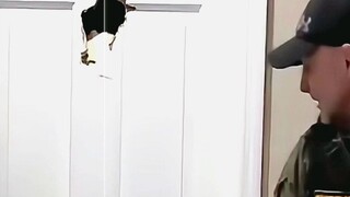 "Top Taunt"