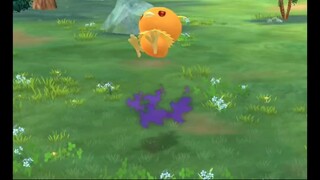 Pokémon GO-Shadow Torchic