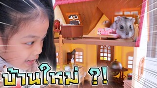 บ้านใหม่ซูซู !! ชุดซิลวาเนียนสุดหรู หนูแฮมสเตอร์ - DING DONG DAD