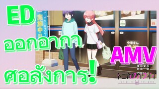 [จะยังไงภรรยาของผมก็น่ารัก] AMV| ED ออกอากาศอลังการ!