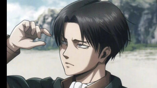 Levi