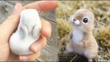 AWW SO CUTE! Cutest baby animals Videos Compilation Cute moment of the Animals - Cutest Animals #32