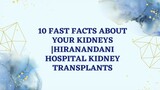 10 Fast Facts About Your Kidneys Hiranandani Hospital Kidney Transplants