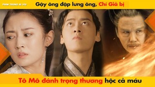 GẬY ÔNG ĐẬP LƯNG ÔNG - CHÍ GIẢ BỊ TÔ MÔ ĐÁNH TRỌNG THƯƠNG ỌC CẢ MÁU || KÍNH SONG THÀNH - 镜双城