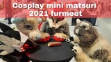 Furmeet at Cosplay mini matsuri 2021