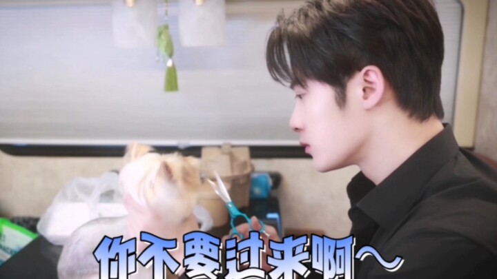 Tan Jianci ตัดผมของสุนัข สไตล์การวาดภาพที่แตกต่างกันของ Xiaodai และ Xiaoqiu!