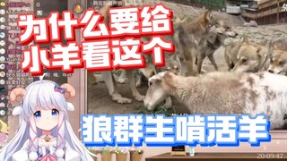 【咩栗】本以为是一狼一羊的追逐play！怎么是恐怖片啊！