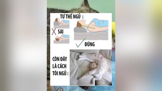 cách ngủ bá đạo 🤣 memes meme superidol memehaihuoc memebuoncuoi memehai