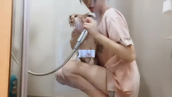 A Bath For My Cat And Its Loud Meow