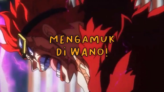 Momen Kid Mengamuk Di Wano