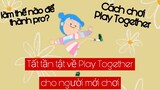 Hướng dẫn tất cả thứ cơ bản về Play Together cho người mới chơi (Phần 1)