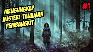 Mengungkap Misteri Tanaman Pembangkit | Alur Cerita Film Kingdom Ashin Of The North