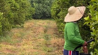 delicious food farm dining