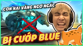 CON NAI NGƠ NGÁC BỊ CƯỚP BLUE VÀ CÁI KẾT CỦA NHỮNG BÁC THỢ SĂN | LEVI STREAM