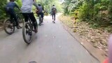 Forest Ride