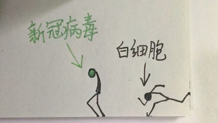 【新冠病毒vs白细胞】白细胞杀疯了！