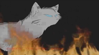 h o n e y t h i e f [hollyleaf AMV]