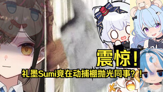 【礼墨Sumi】起猛了，瓜咪把同事抛光了个遍？！