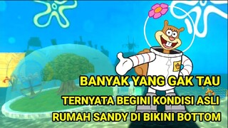 Ternyata Ini Penampakan Asli rumah Sandy Di Bikini Bottom | Banyak yang Gak tau Loh