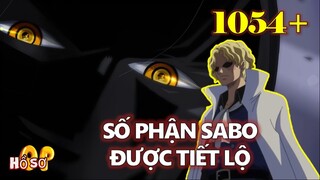 [One Piece 1054+]. Số phận Sabo được tiết lộ, Im-sama trở thành kẻ tình nghi "vu oan giá họa"? #Anim