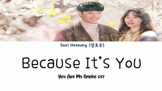 Seol Haseung (설호승) -【Because It's You】 (Rom/Han/Eng_Lyrics) You Are My Spring OST Part 2