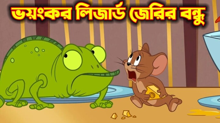 Tom and Jerry Bangla || ভৌতিক ইঁদুরের আত্মা - Bilibili