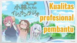 Kualitas profesional pembantu