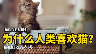 为什么人类痴迷吸猫？猫咪对你下了三个“咒语”…