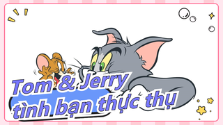 [Tom & Jerry] Có lẽ đó là tình bạn thực thụ