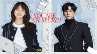 You Are My Secret ep 1 (sub indo)