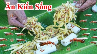 ĂN KIẾN VÀNG SỐNG ! Món Ăn Giúp Tăng Sinh Lực Ham Muốn / Cách Làm Gỏi Kiến Vàng. survival ant salad