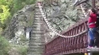 Một người dì người Trung Quốc đang nhảy bungee ở New Zealand, do rào cản ngôn ngữ nên bà nghe nhầm t