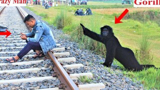 น่ากลัว Fake Gorilla Attack Prank วิดีโอเล่นตลกกอริลลาในที่สาธารณะ- หัวเราะคนเดียวไม่ได้