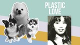 Plastic Love but it's Doggos and Gabe