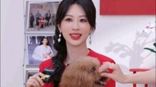 Piupiu is here to accompany Yang Zi as a guest in the live broadcast room again❤Revealing the tragic