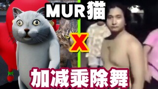 Addition, subtraction, multiplication, division——MUR cat