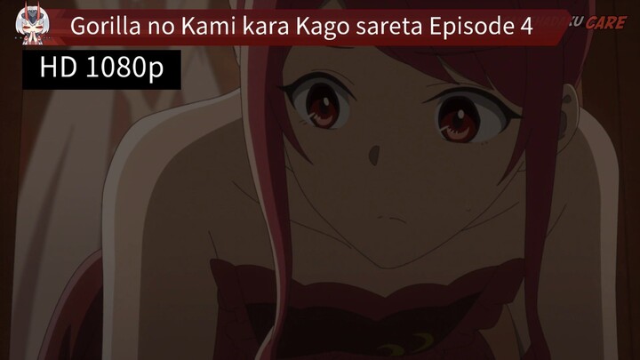 Gorilla no Kami kara Kago sareta Episode 4 Sub Indo