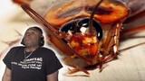Scared Man VS Giant Flying CockRoach....MAN I NEED TO MOVE!!!