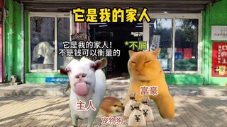 它是我的家人