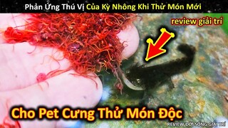 Phản Ứng Thú Vị Của Động Vật Khi Được Cho Ăn Thử Món Ngon Độc Lạ || Review Giải Trí Đời Sống