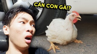 REACTION: DÙNG XE ĐỂ HỦY DIỆT GÀ!