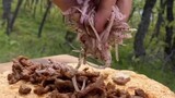 Homemade GYRO in the Forest?! 😍🔥