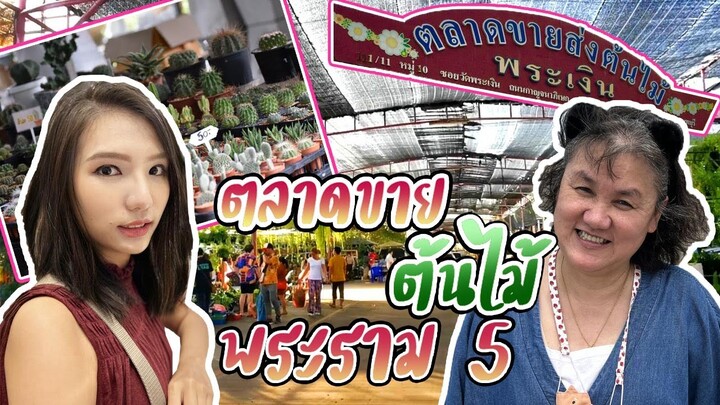 เดินเล่น พระราม5 (ตลาดต้นไม้🌲🌴) | Progress89 #travelvlog #progress89