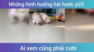 Tình huống hài hước p23