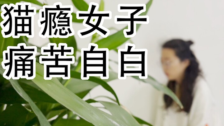 戒猫中心，一位猫瘾女子的自白