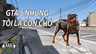 GTA 5 nhưng tôi là CON CHÓ | GNDTT