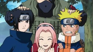 team 7 edit