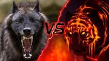 SÓI vs. HỔ - Một Đàn Sói Có Thể Giết Được Hổ, Vậy Sói Có Phải Thiên Địch Của Hổ Hay Không?